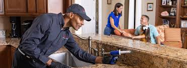 Best Real Estate Pest Inspections  in Webberville, MI