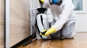 Best Indoor Pest Control  in Webberville, MI